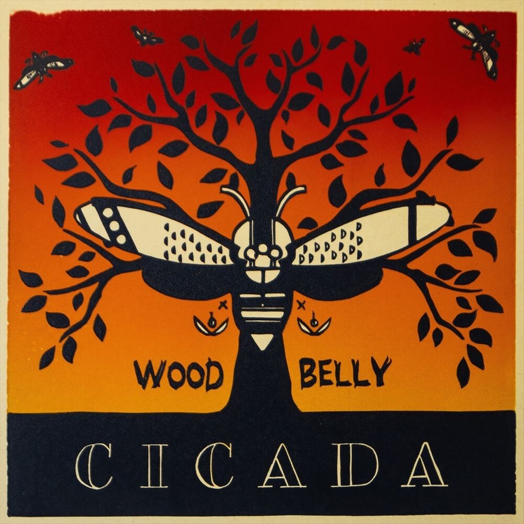 Cicada cover art