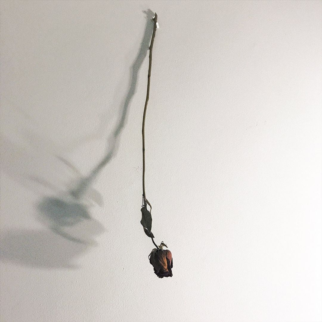 Dear God cover art