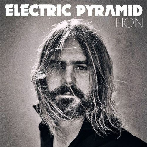 Lion cover art