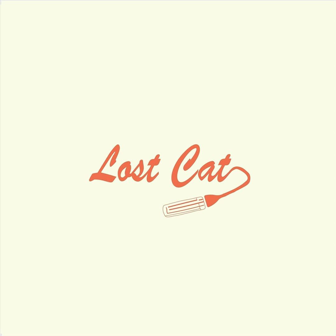 Lost Cat cover art
