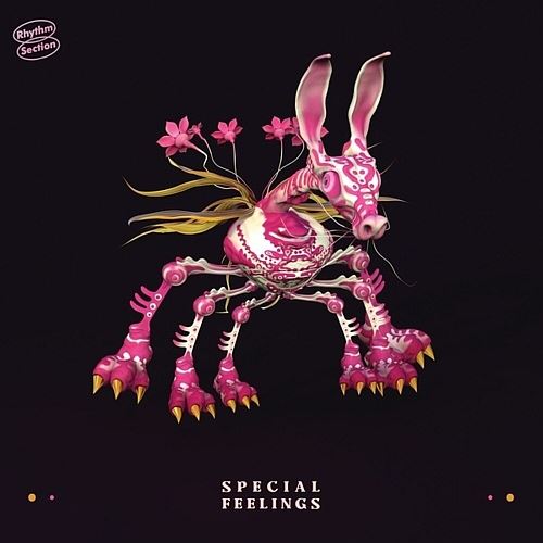 Special Feelings cover art