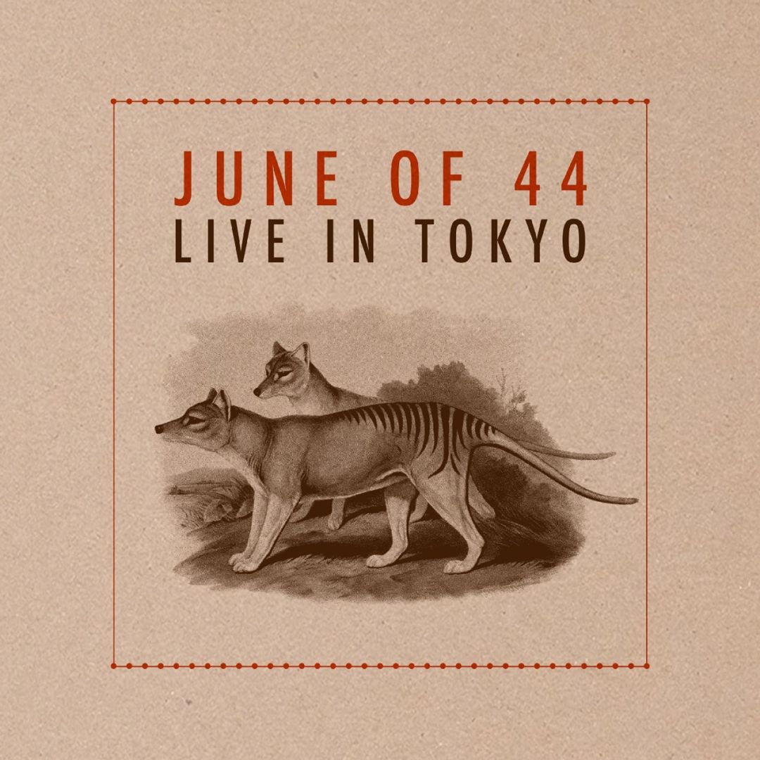 Live in Tokyo cover art