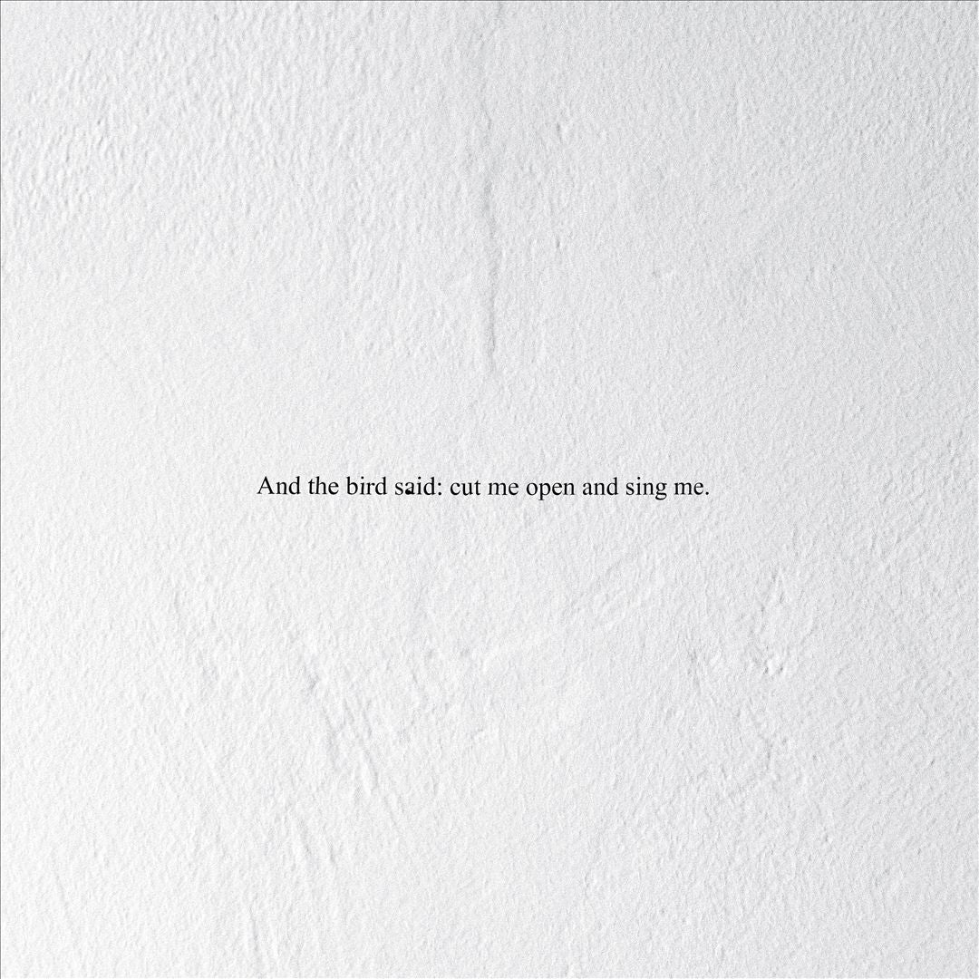 And the Bird Said: Cut Me Open and Sing Me cover art