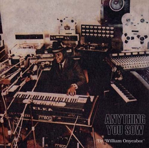 Anything You Sow cover art