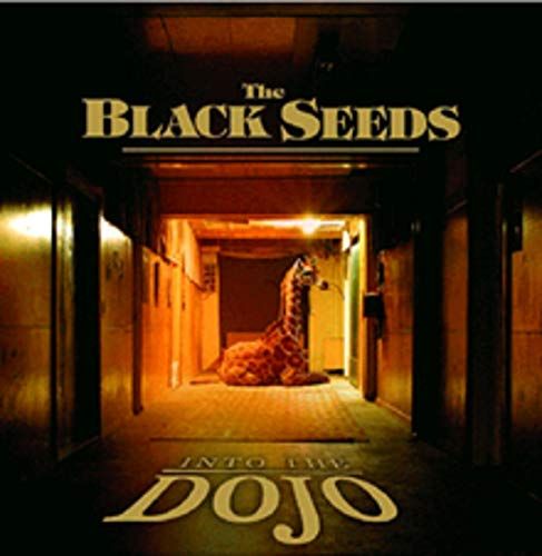 Into the Dojo cover art