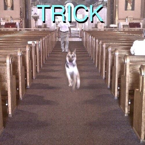 Trick cover art