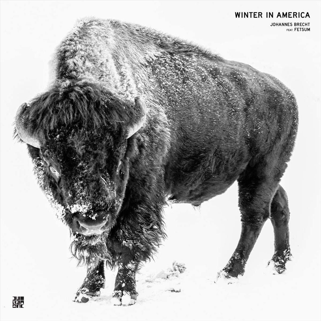 Winter in America cover art