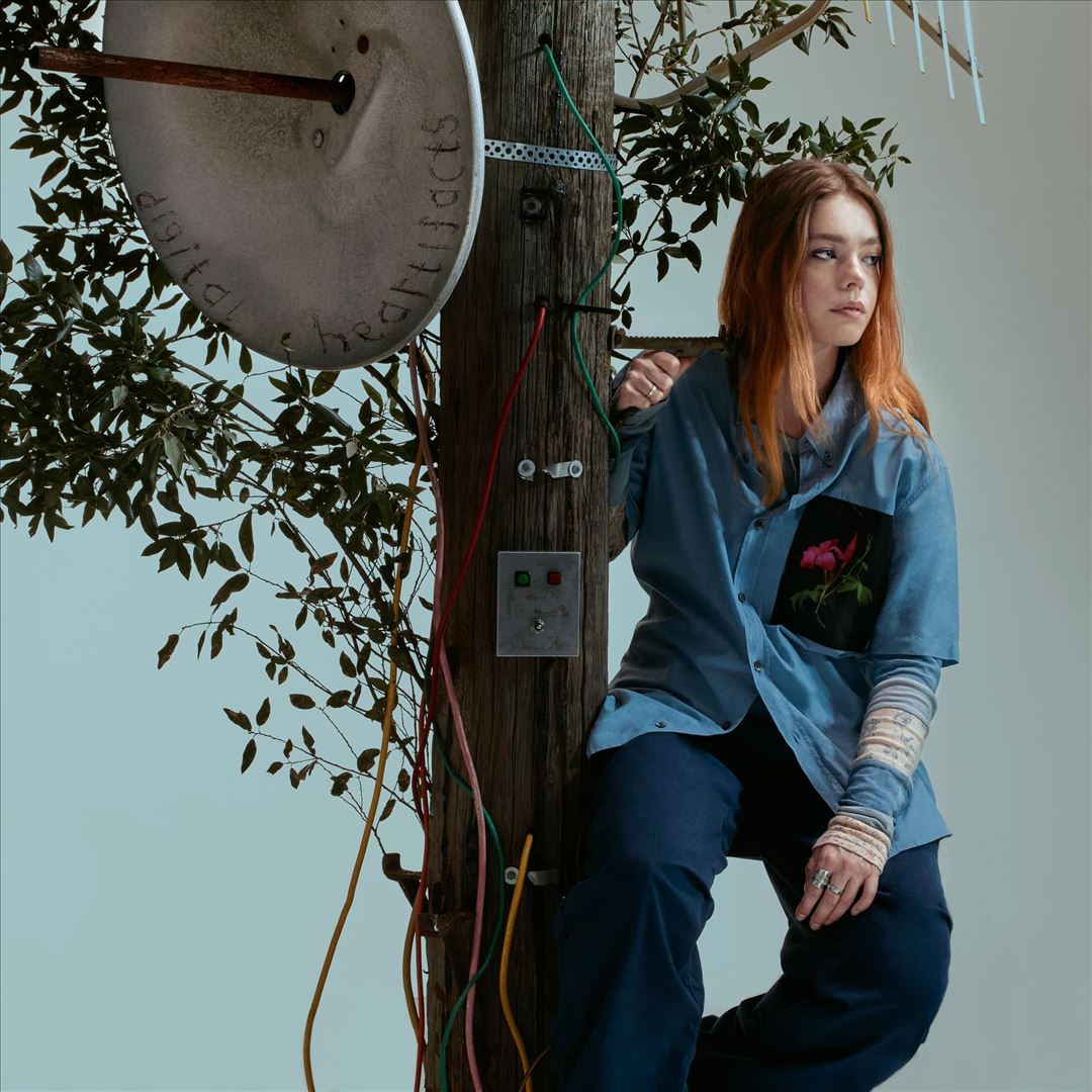 Digital Heartifacts cover art