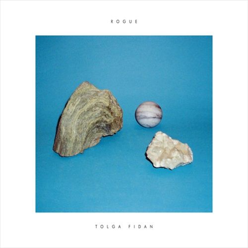 Rogue cover art