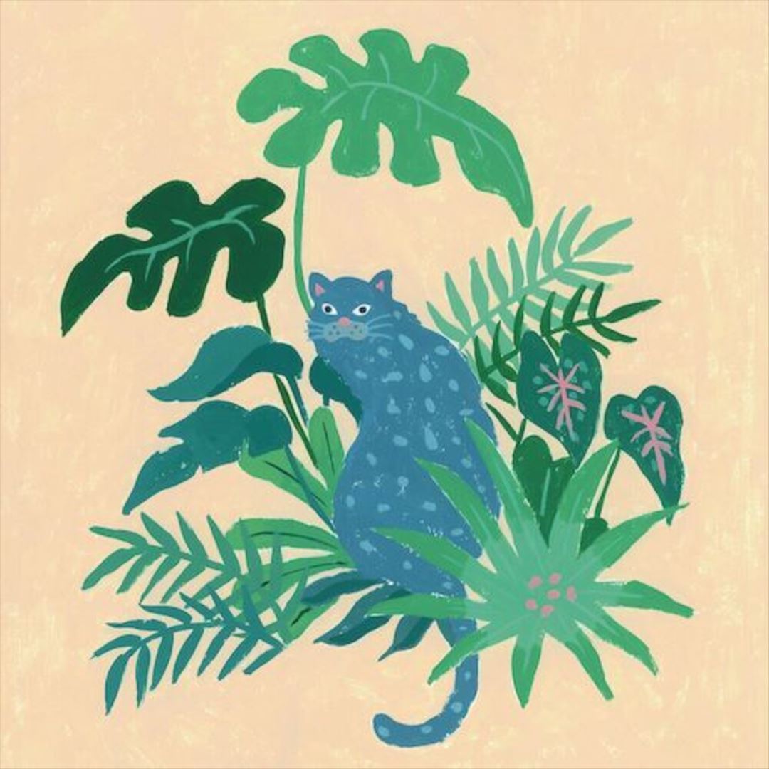 Qantikala cover art