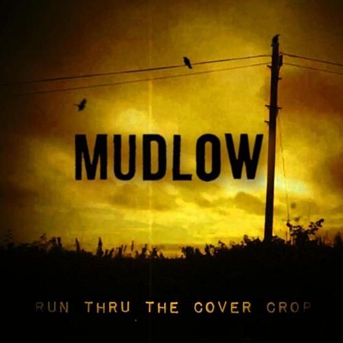Run thru the Cover Crop cover art