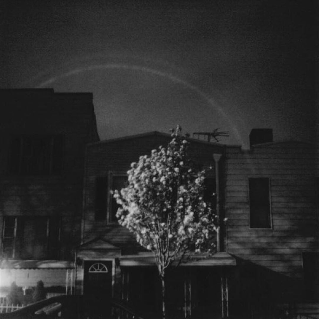 Hands in the Honey Jar cover art