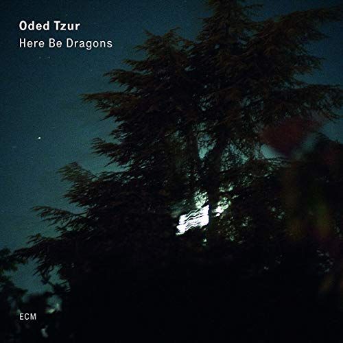 Here Be Dragons cover art