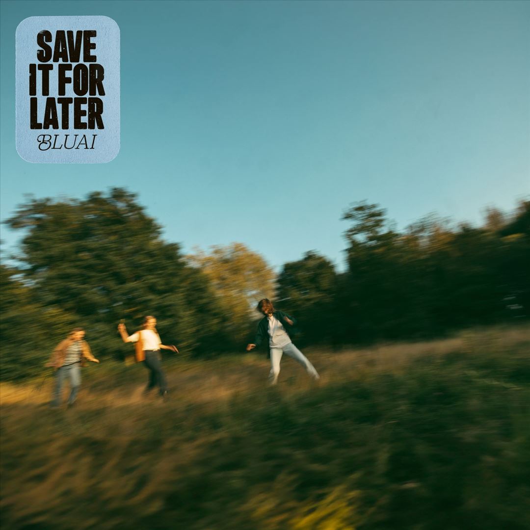 Save It for Later cover art