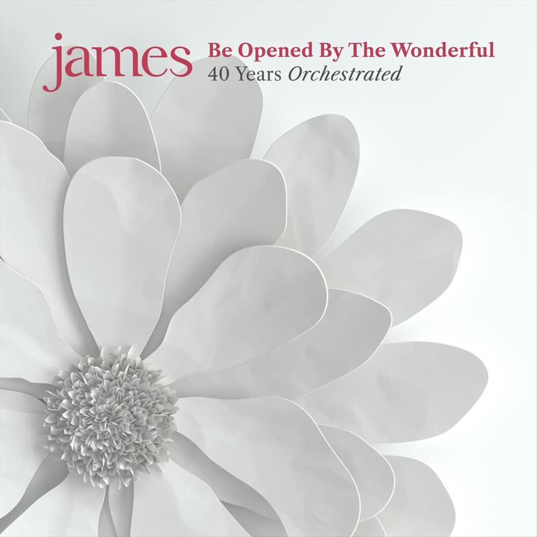 Be Opened by the Wonderful cover art