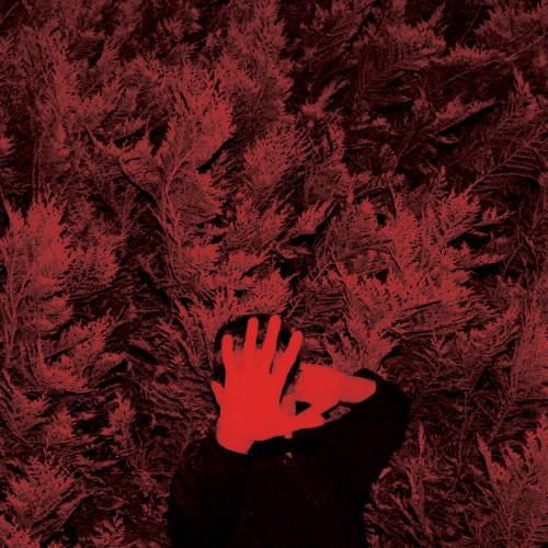 Unborn Capitalist From Limbo cover art