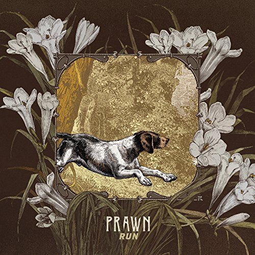 Run cover art