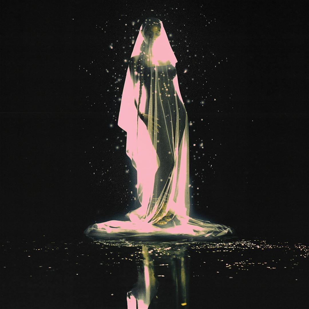 Moth cover art