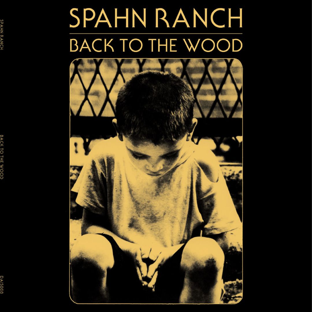 Back to the Wood cover art