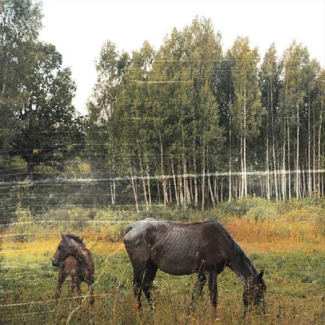 Old Pride cover art
