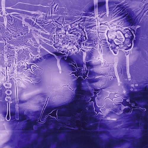 i got a song, it's gonna make us millions cover art