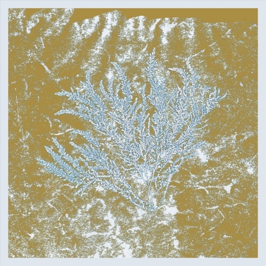 For Those of You Who Have Never (And Also Those Who Have) cover art