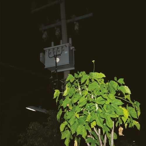 Down On Darkened Meetings cover art