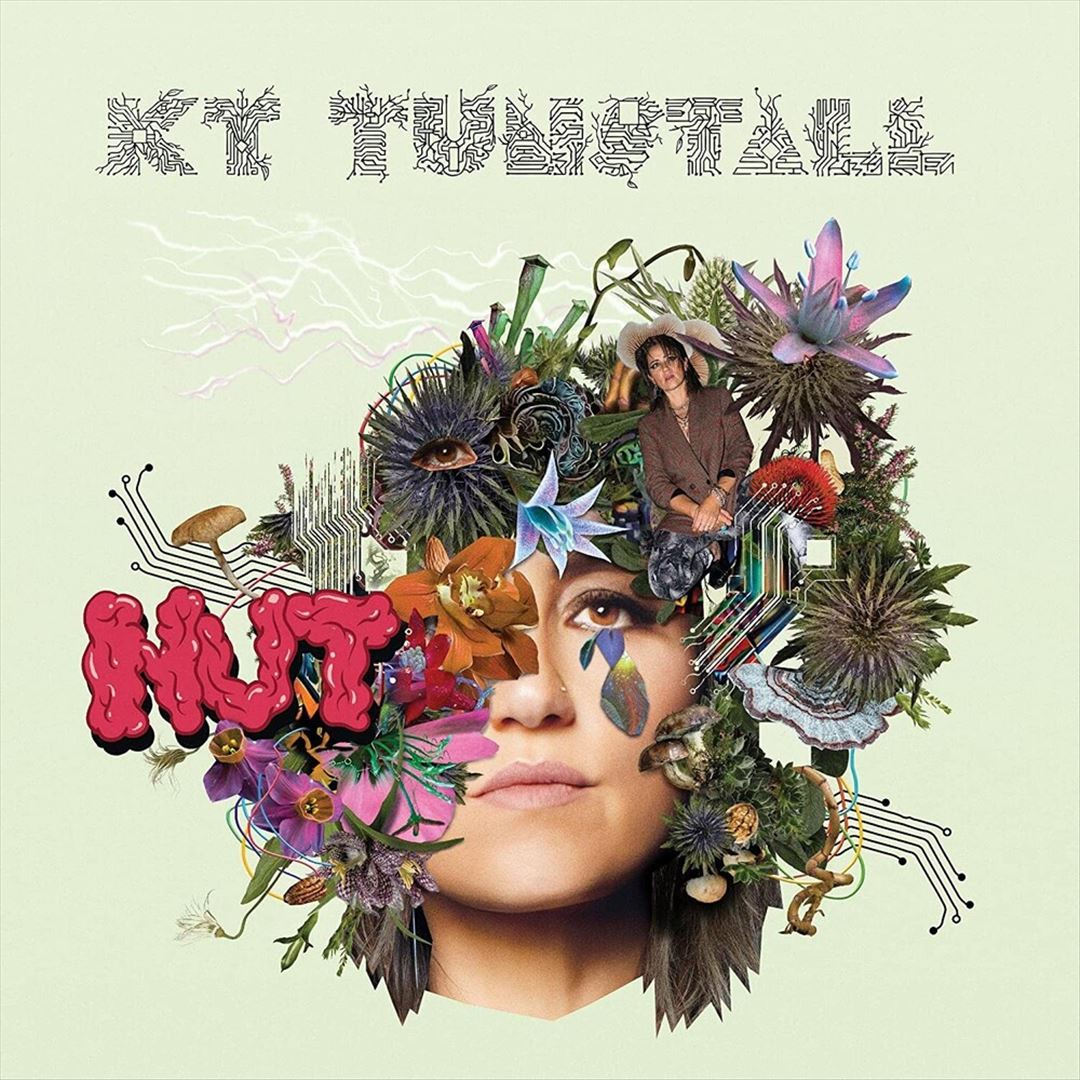Nut cover art