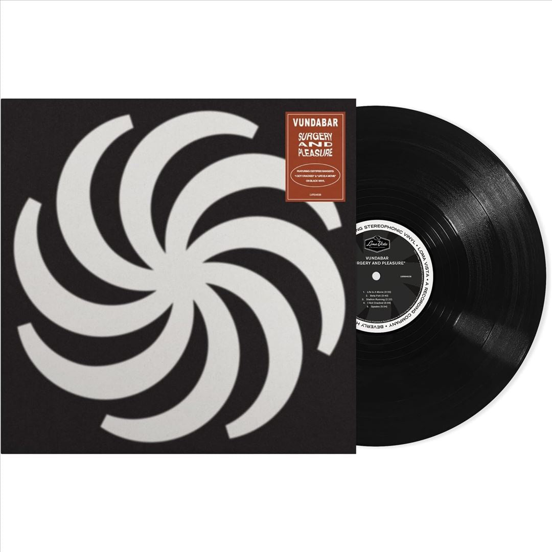 Surgery and Pleasure cover art