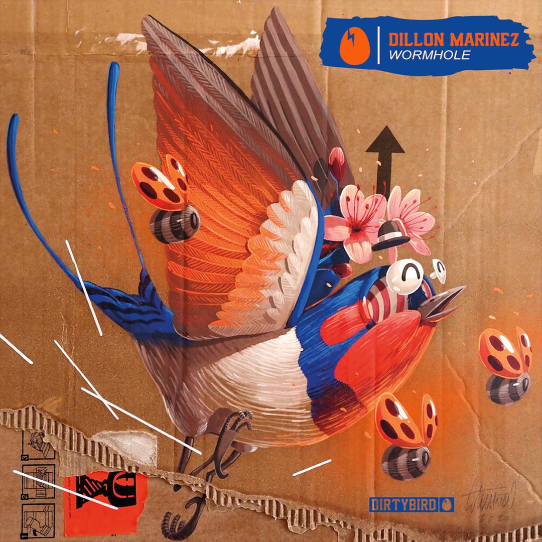Wormhole cover art