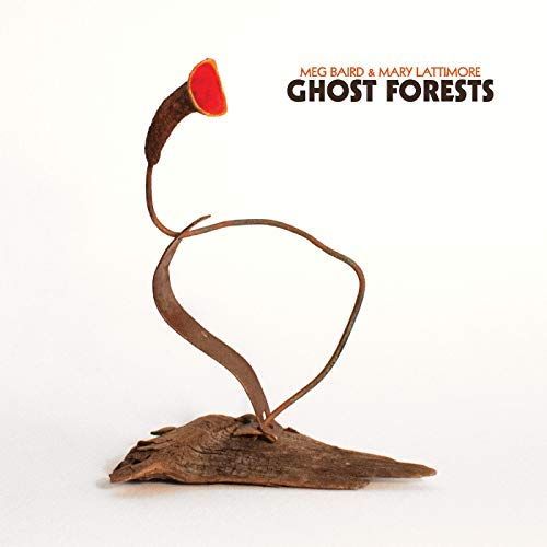 Ghost Forests cover art