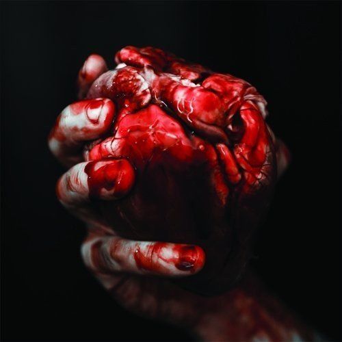 We Owe You Nothing cover art
