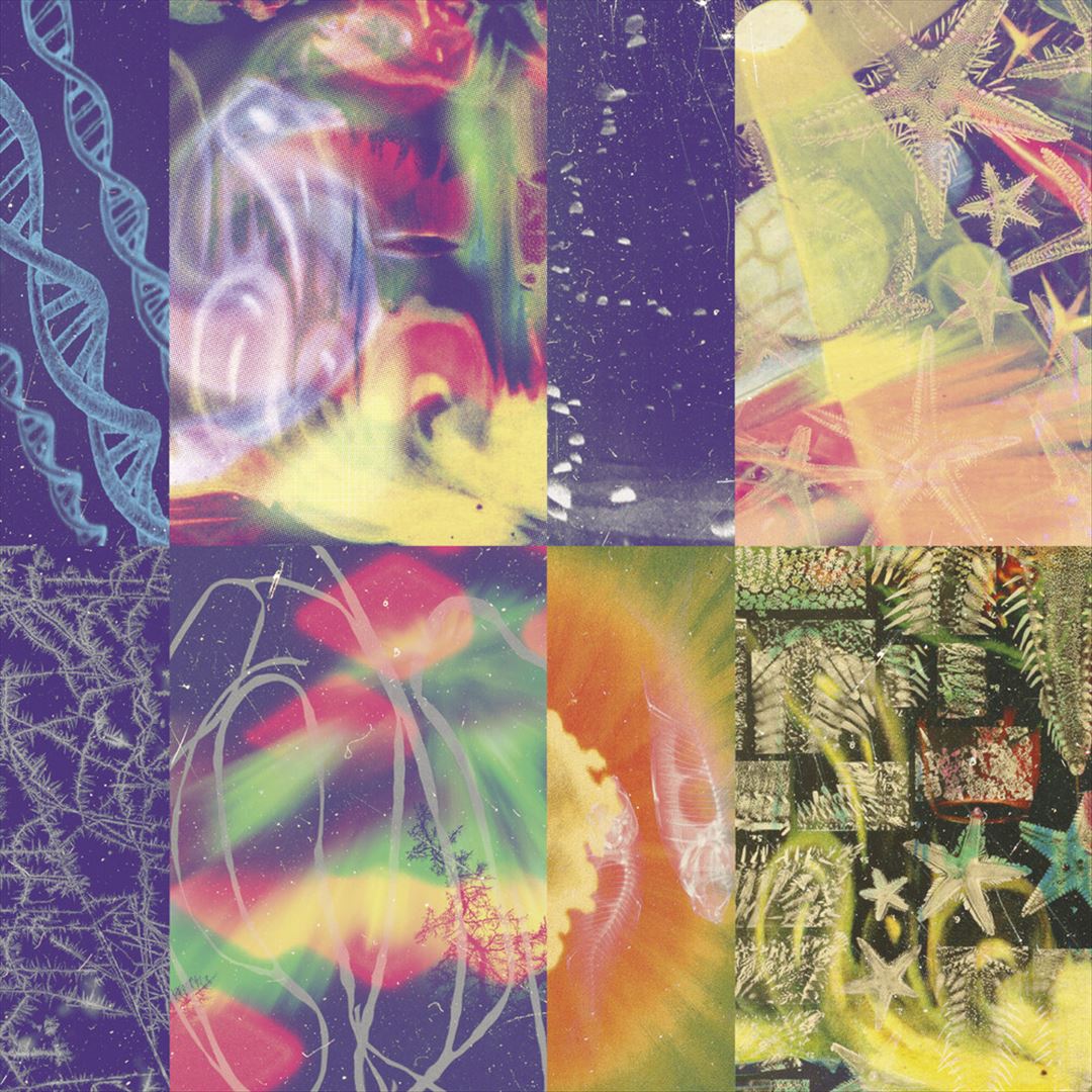 Neon Gate cover art