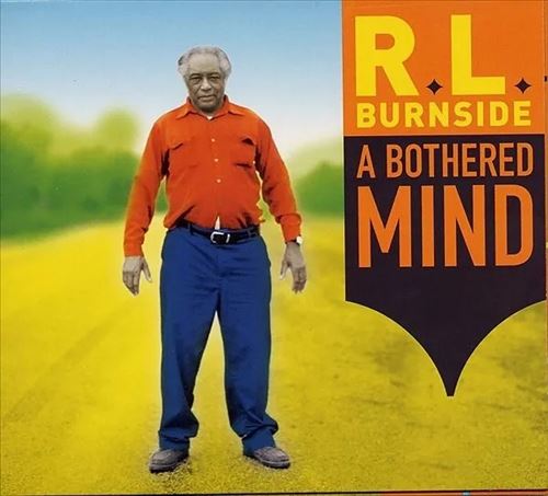 Bothered Mind cover art
