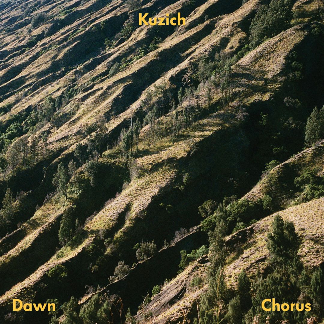 Dawn Chorus cover art