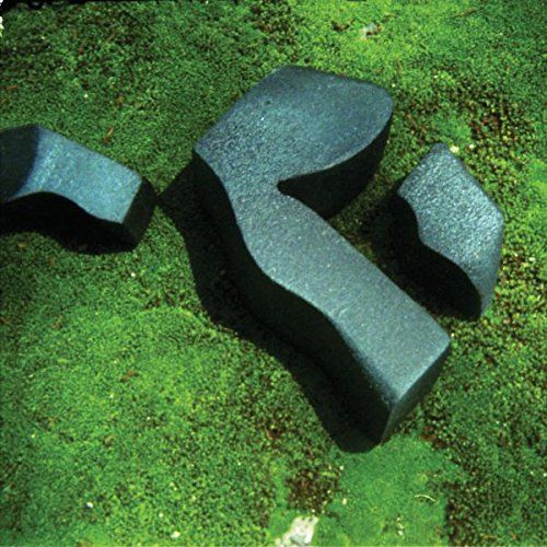 Heart Pressed Between Stones cover art