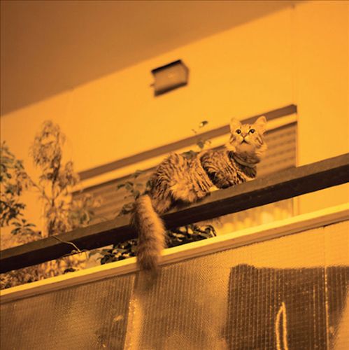 Republic cover art