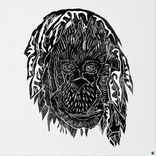 Raise the Ark cover art