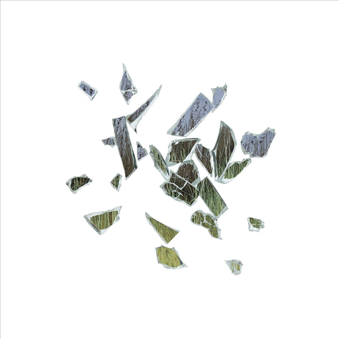 Field of Reeds cover art