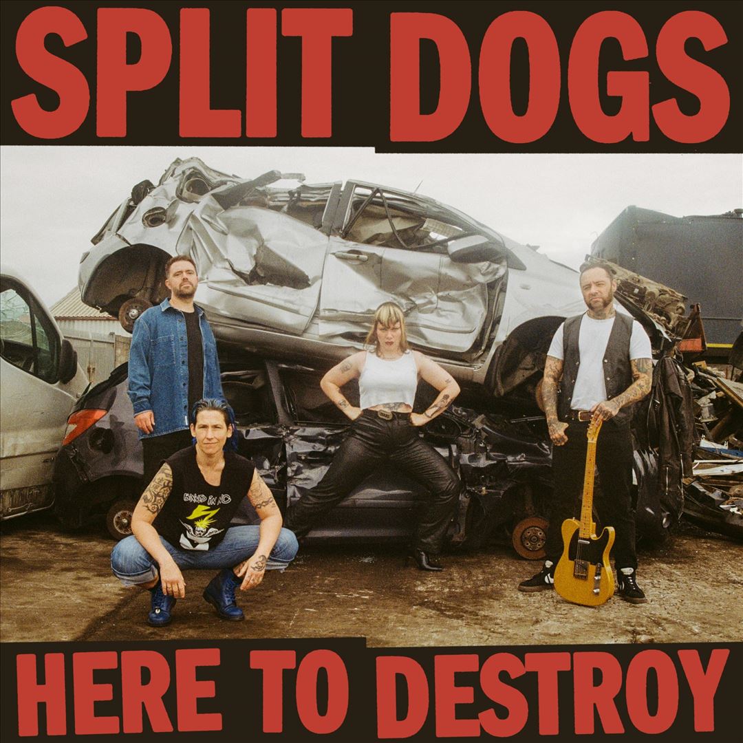 Here to Destroy cover art