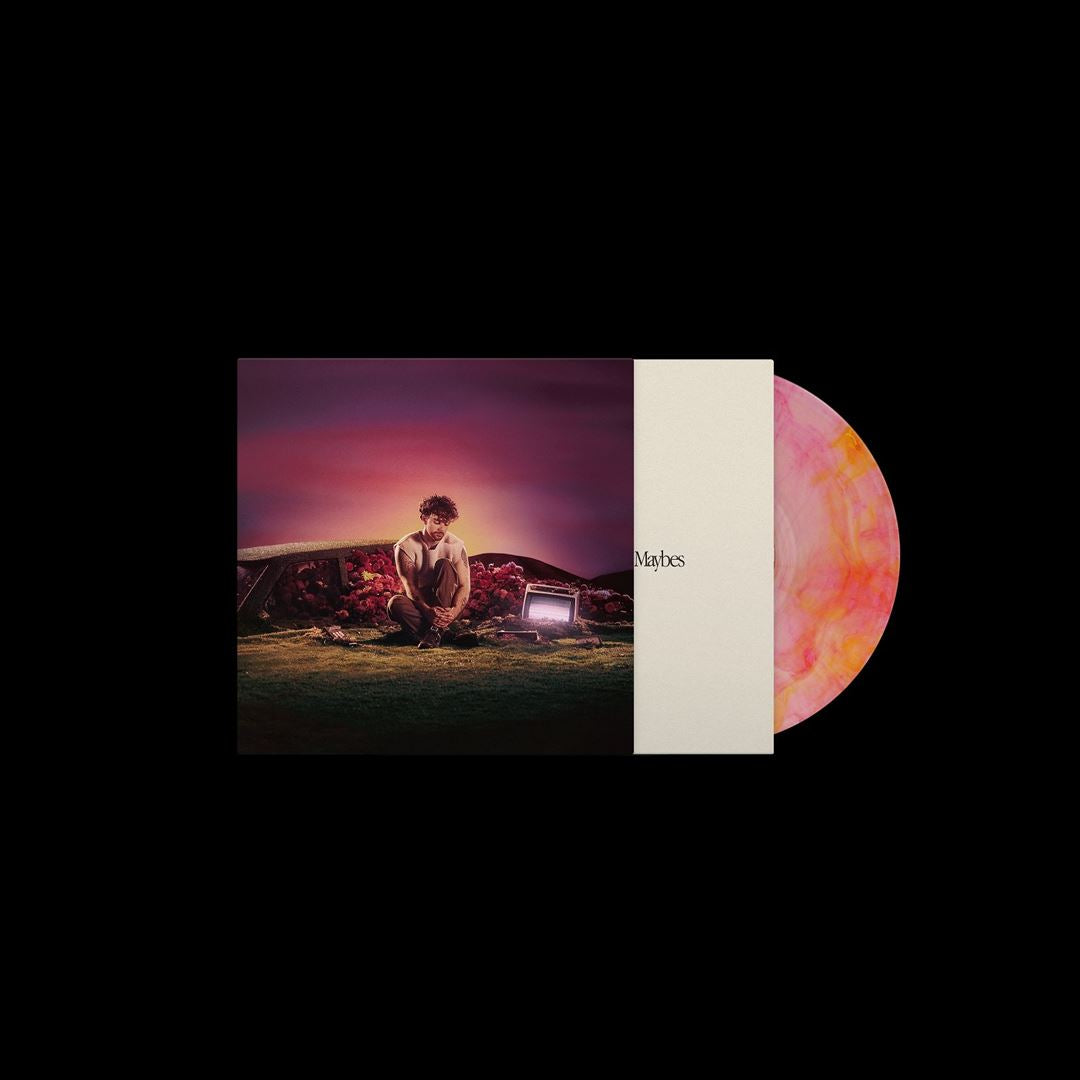 What Ifs & Maybes cover art