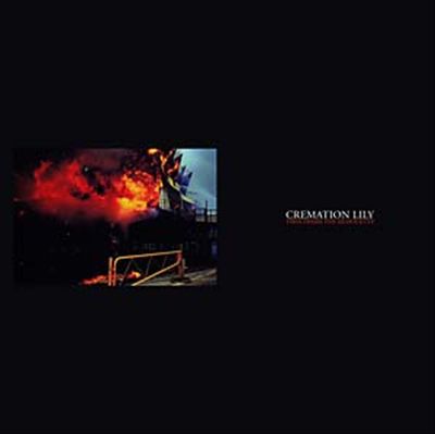 Fires Frame the Silhouette cover art