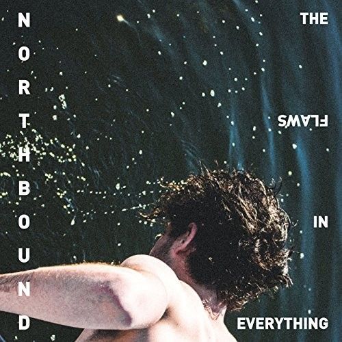 Flaws in Everything cover art