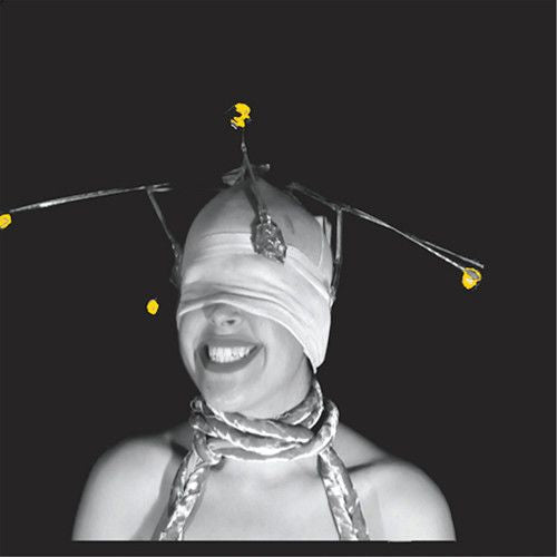 Shimmer cover art