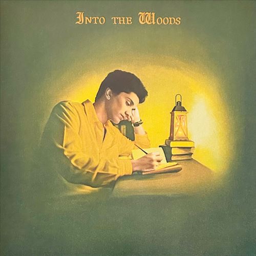 Into the Woods cover art