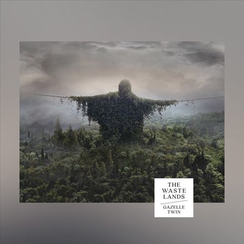Wastelands cover art