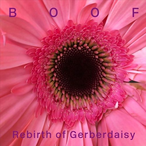Rebirth of Gerberdaisy cover art