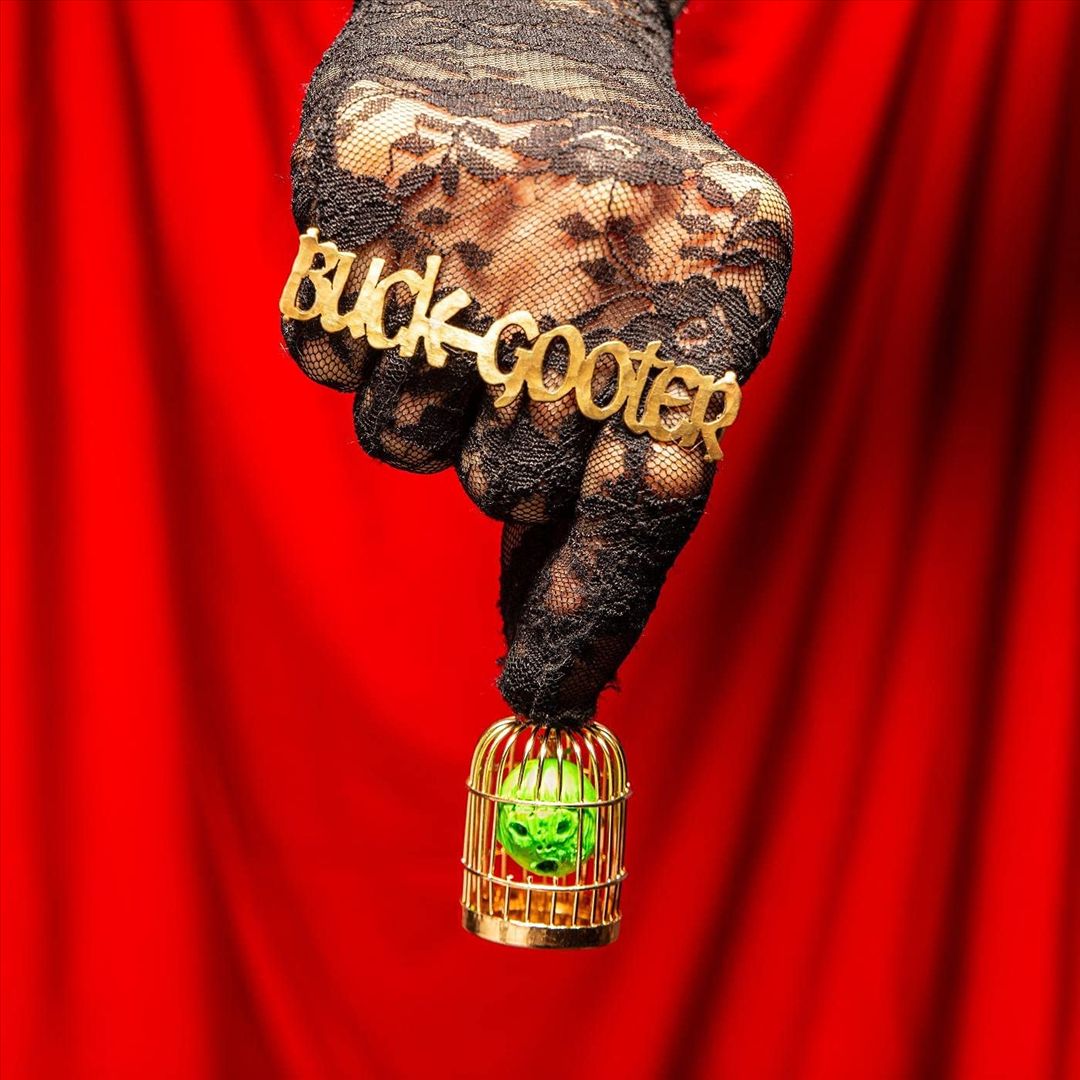 Head in a Bird Cage cover art