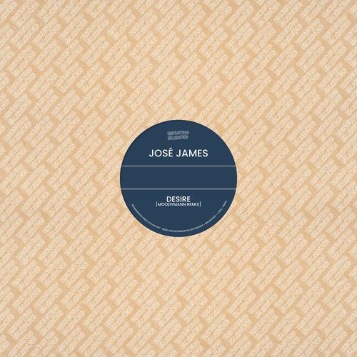 Brownswood Remix Editions 007 cover art