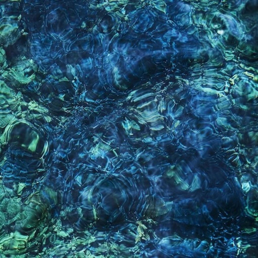 Luminescent Creatures cover art